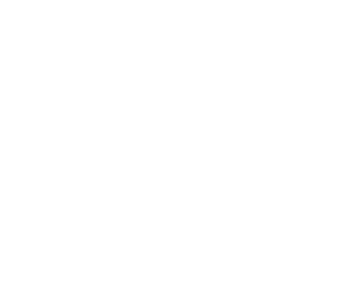 Sarah Rejane Brito Goldsztejn Finco