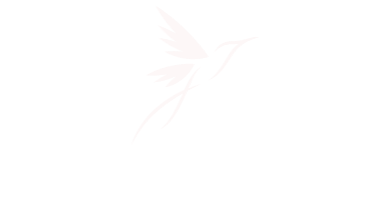 Yasmin Mantovani