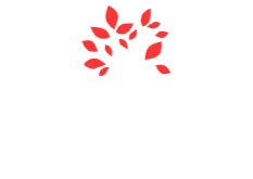 J J Oliveira