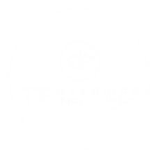 TF Negócios Imobiliários